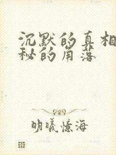 沉默的真相与隐秘的角落