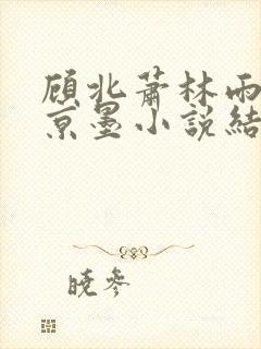 顾北萧林雨菲谢京墨小说结局