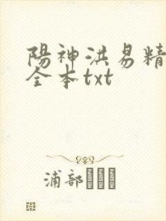 阳神洪易精校版全本txt