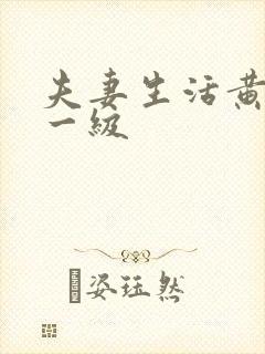 夫妻生活黄色片一级封面