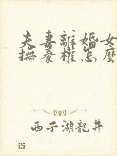 夫妻离婚女孩子抚养权怎么判定