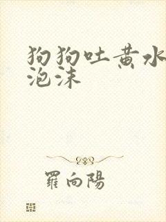 狗狗吐黄水,带泡沫