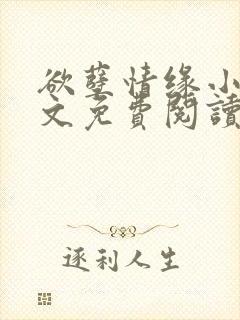 欲孽情缘小说全文免费阅读封面