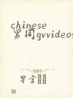 chinese男同gvvideos
