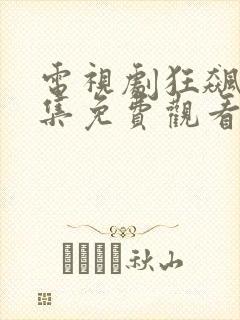 电视剧狂飙40集免费观看全集