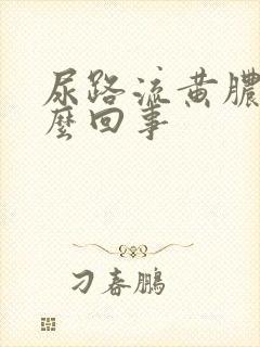 尿路流黄脓是怎么回事