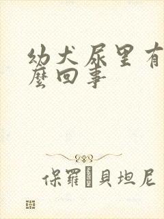 幼犬尿里有血怎么回事