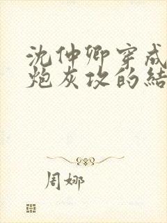 沈仲卿穿成反派炮灰攻的结局