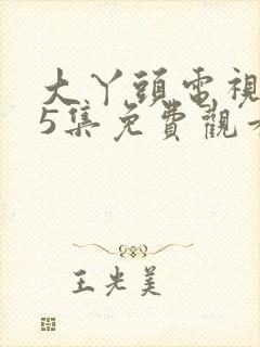 大丫头电视剧35集免费观看封面