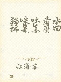 猫咪吐黄水还拉稀是怎么回事