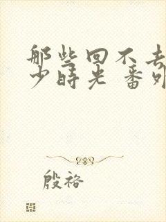 那些回不去的年少时光 番外