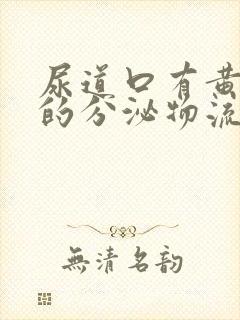 尿道口有黄白色的分泌物流出,怎么回事啊