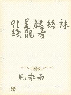 91美腿丝袜在线观看