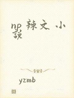 np 辣文 小说