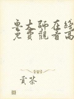 鲁大师在线观看免费观看高清电视剧