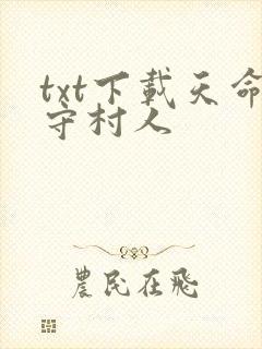 txt下载天命守村人