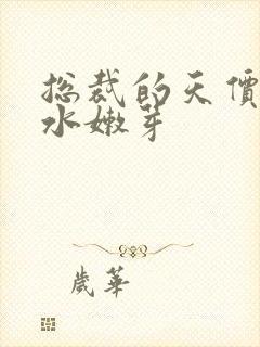 总裁的天价前妻水嫩芽