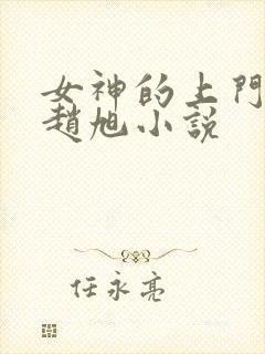 女神的上门豪婿赵旭小说