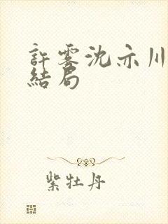 许雾沈亦川番外结局