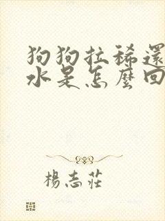 狗狗拉稀还吐黄水是怎么回事