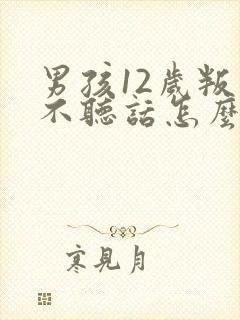 男孩12岁叛逆不听话怎么办