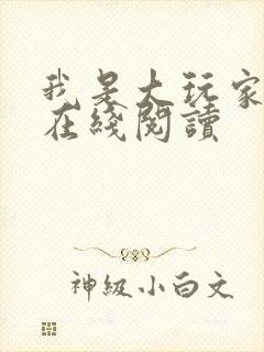 我是大玩家全文在线阅读