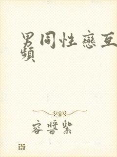 男同性恋互插视频