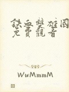 铁血双雄国语版免费观看封面