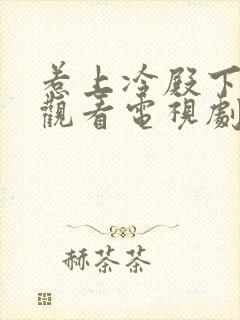 惹上冷殿下免费观看电视剧全集