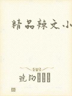 精品辣文小说网封面