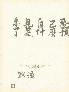 梦见自己飞起来了是什么预兆女人