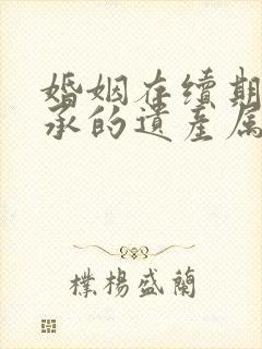 婚姻存续期间继承的遗产属于共同财产吗