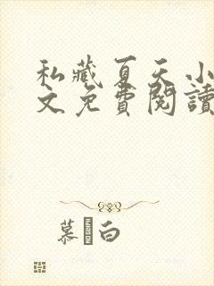 私藏夏天小说全文免费阅读笔趣阁