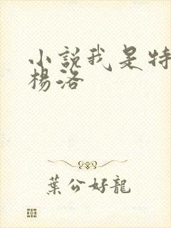 小说我是特种兵杨洛