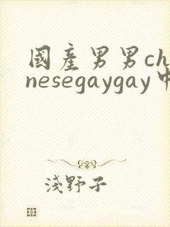 国产男男chinesegaygay中国帅哥网站