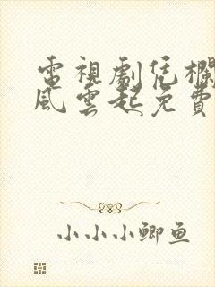 电视剧凭栏一片风云起免费观看