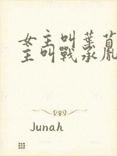 女主叫叶苜苜男主叫战承胤的小说