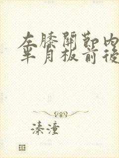 左膝关节内外侧半月板前后角损伤