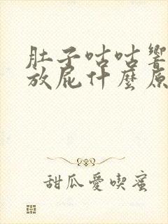 肚子咕咕响还老放屁什么原因