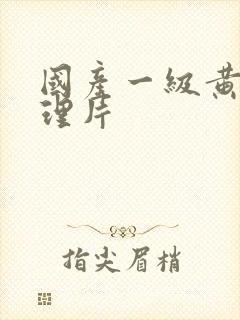 国产一级黄色伦理片