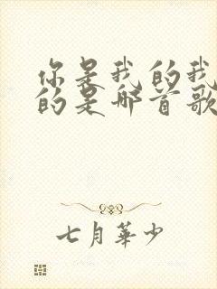 你是我的我是你的是哪首歌的歌词