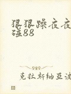 狠狠躁夜夜躁爽碰88