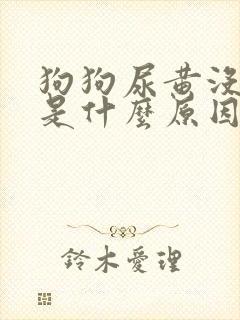 狗狗尿黄没食欲是什么原因