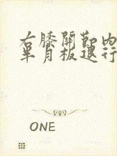 右膝关节内外侧半月板退行性变