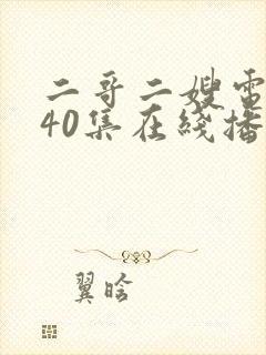 二哥二嫂电视剧40集在线播放封面