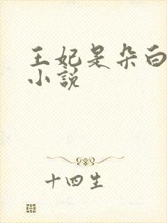 王妃是朵白莲花小说