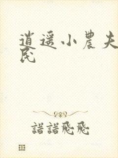 逍遥小农夫小农民封面