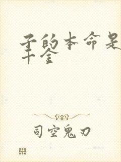 子的本命是恶役千金封面