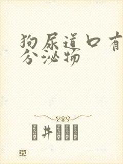 狗尿道口有黄色分泌物