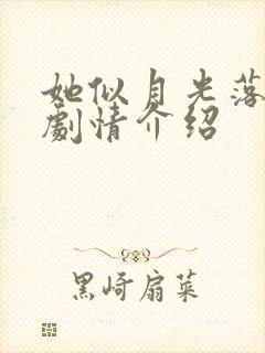 她似月光落我心剧情介绍封面